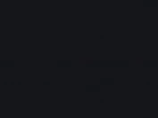 RAL 9005 (черный)